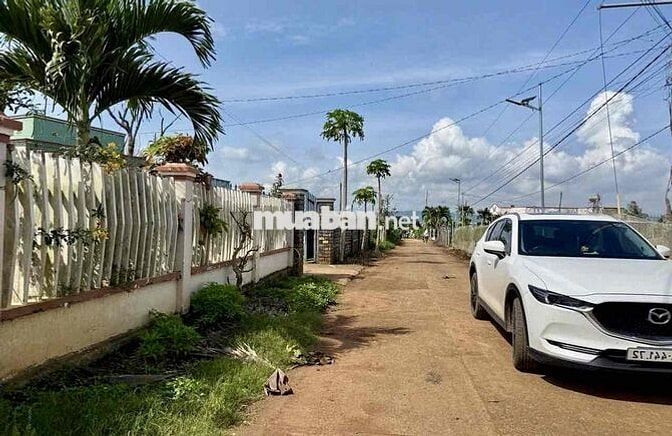 ✨ CHÍNH CHỦ CẦN BÁN ĐẤT ĐẸP GẦN CHỢ TÂN HỘI – ĐỨC TRỌNG ✨