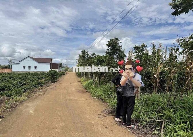✨ CHÍNH CHỦ CẦN BÁN ĐẤT ĐẸP GẦN CHỢ TÂN HỘI – ĐỨC TRỌNG ✨
