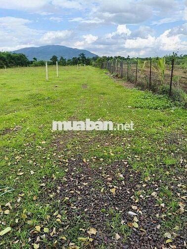 Đất ngộp ngay núi Chứa Chan 5x28m thổ cư sổ riêng chỉ 670tr