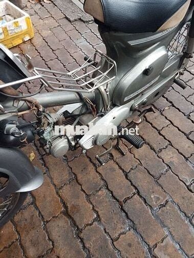 Cub én 50cc