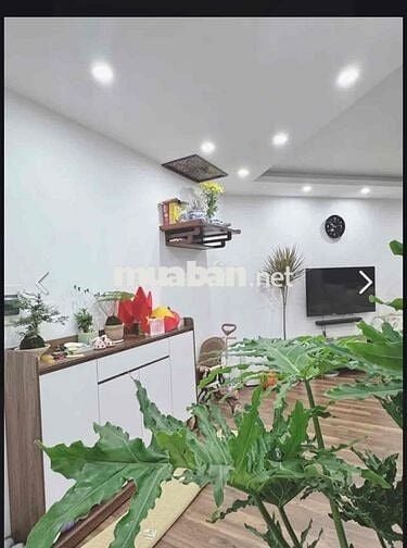 Căn hộ  Chung Cư Vinaconex 57 Vũ Trọng Phụng, Thanh Xuân, Hà Nội