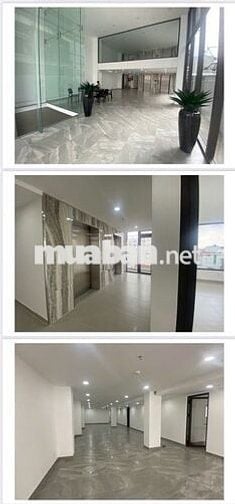 Tân kỳ tân quý, 610m2, Văn phòng mới đẹp, 118 tỷ thương lượng