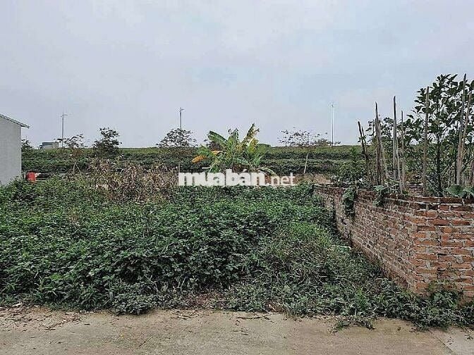 SIÊU VIP TIỀN YÊN - 2 MẠT NGÕ CỰC THOÁNG - OTO TRÁNH - TIỆN ÍCH VÔ VÀN SIÊU VIP TIỀN YÊN - 2 MẠT NGÕ CỰC THOÁNG - OTO TRÁNH - TIỆN ÍCH VÔ VÀN