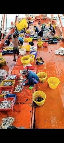 Tuyển nam lao động đi tàu cá Kiên Giang - thu nhập 12 - 16 triệu/tháng