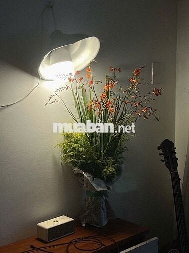 CHO THUÊ CĂN HỘ DỊCH VỤ - BAN CÔNG - GIỜ GIẤC TỰ DO - 40M2
