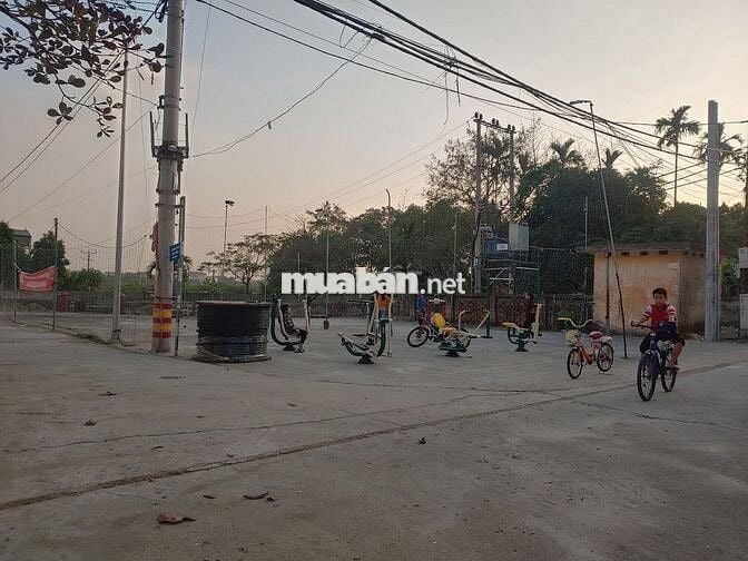 Cần bán đất 103 m² – ngõ 2.5m – sổ đỏ chính chủ – vị trí đẹp Phú Xuyên