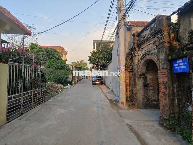 Cần bán đất 103 m² – ngõ 2.5m – sổ đỏ chính chủ – vị trí đẹp Phú Xuyên