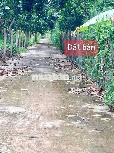 Đất sào diện tích 13x78 giá 980 triệu Phường Bình Lộc Long Khánh