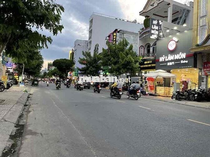 - 15M RA MTKD ĐỈNH - TÂN SƠN NHÌ - ĐƯỜNG 10M
