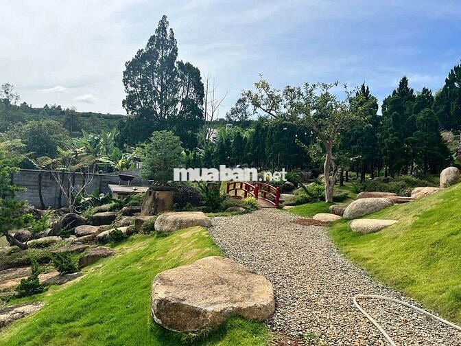 Quỹ đất vip tại trung tâm Bảo Lộc