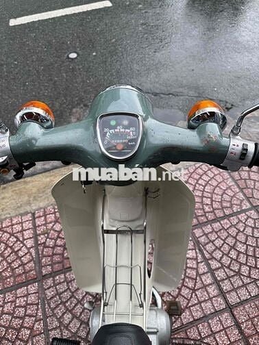 cub 81/50 kim vàng giọt lệ bstp chính chủ