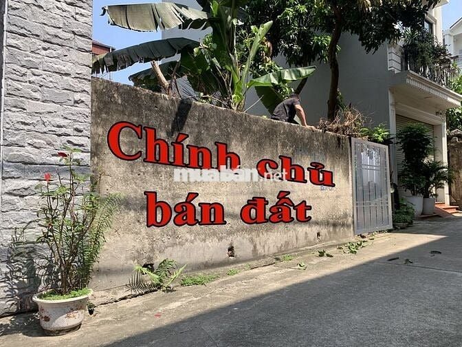 Gần VinHomes Ocean Park, Khu bàn cờ, Bán đất Cổ Bi Gia Lâm 76m², sổ đỏ