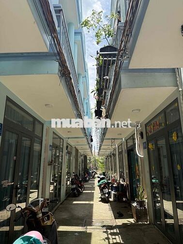 cho thuê nhà nguyên căn gần cát tường phú sinh