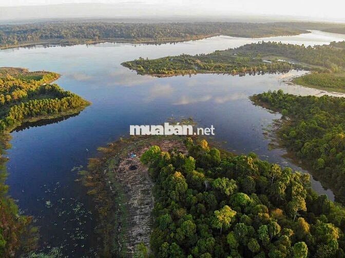 8000m2 ĐẤT VƯỜN GIÁP HỒ (300m) MẶT. HỒ