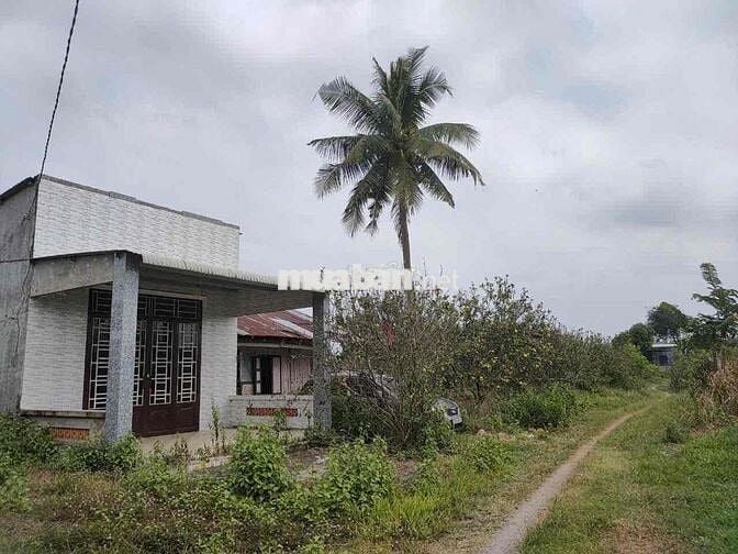 Nhà đất vườn 3.684m2. Nhà, đất vườn, ao nhỏ