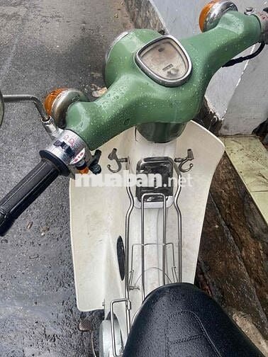 xe cub 50cc gtdđ