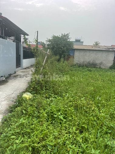 ĐẤT EM CHÍNH CHỦ  - SẴN SÀNG GIAO DỊCH NHA.