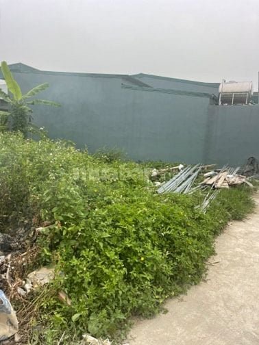 ĐẤT EM CHÍNH CHỦ  - SẴN SÀNG GIAO DỊCH NHA.