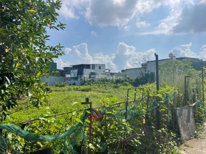 ĐẤT EM CHÍNH CHỦ  - SẴN SÀNG GIAO DỊCH NHA.