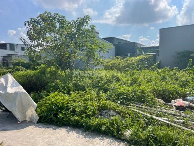 ĐẤT EM CHÍNH CHỦ  - SẴN SÀNG GIAO DỊCH NHA.