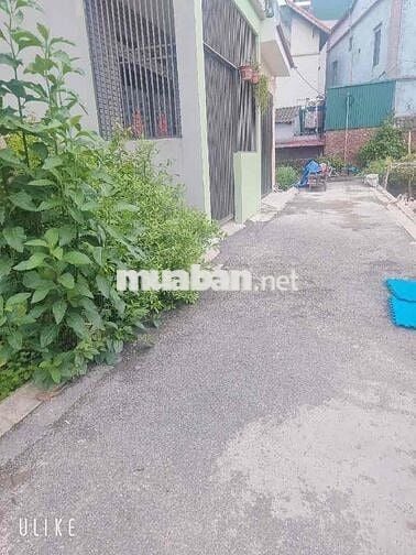 🔥 CHÍNH CHỦ CẮT LỖ – BÁN ĐẤT CHỢ BÚN GIA LÂM, Ô TÔ 7 CHỖ VÀO TẬN NHÀ –
