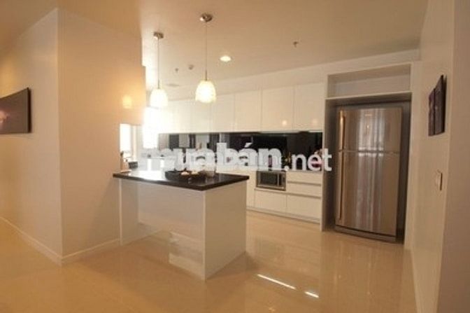 Cần cho thuê gấp căn hộ chung cư Sao Mai Q5