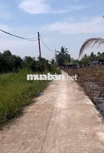 cần bán nền thổ cư 120m lộ oto,cách Phà Cát Lái 1,3km, sổ sẵn