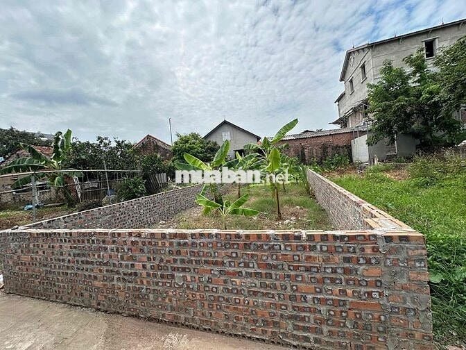 🔥 RẺ NHẤT KHU VỰC- CHỈ 64TR/M²! CHỐT NHANH ĐẤT KIM CHUNG - ĐÔNG ANH.GẦ