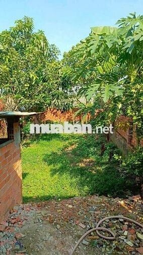 🍓Ngã 3 mỹ hạnh🍓nhà mặt tiền khủng 5mx45m🍓kinh doanh đa ngành🍓
