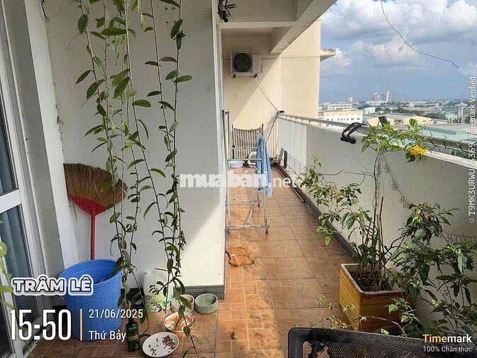 BÁN CHUNG CƯ TÂN TẠO ( VĨNH TƯỜNG) , 121m2    2tỷ 500 , SHR , 3PN