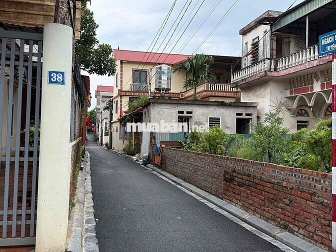 🔥 ĐẤT CỰC HIẾM 43M2 VUÔNG VẮN - ĐƯỜNG THÔNG Ô TÔ – GẦN CẦU NHẬT TÂN 🔥