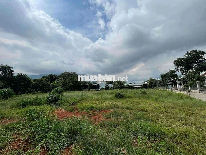 Bán 500m2 thổ cư sổ riêng,xã Xuân Lộc, Đồng Nai, view núi Chứa Chan