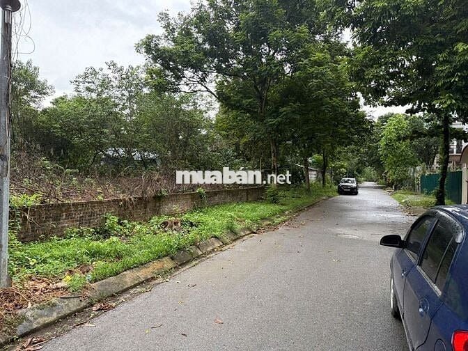 Bán đất KDT Hà Phong, Tiền Phong, Mê Linh. Gần trường DH Tài Chính và