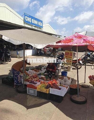 Đất giá rẻ Xuân Phú, Xuân Lộc – ngay QL1A chỉ 640 triệu
