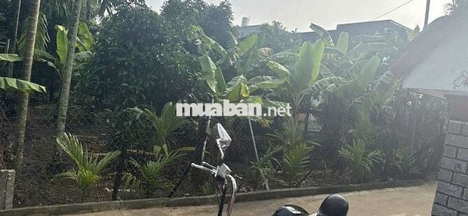 Đất Hưng Định gần chợ bún giá rẻ