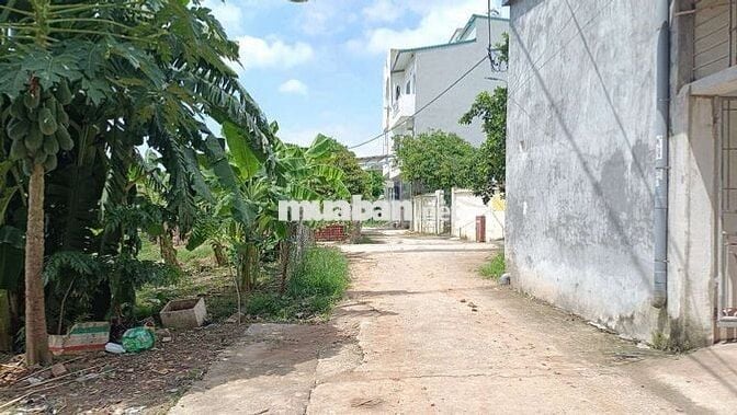 Thiên Lộc view sông thoáng mát 116m lô góc 2 mặt thoáng