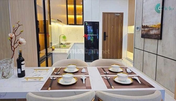 Bán căn hộ cao cấp 50m2, 2 PN, sổ hồng riêng tại Destino Centro 