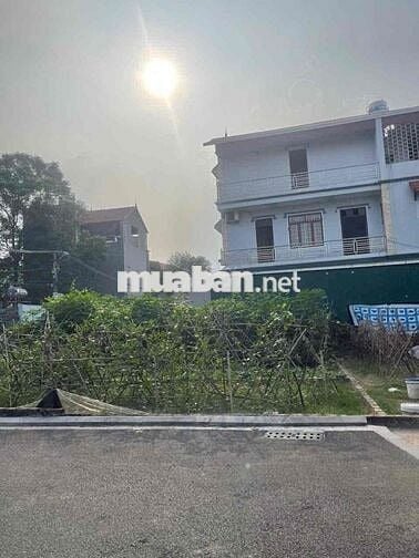 50,8 m mt 4 m nở hậu tằng my nam hồng ĐA-HN