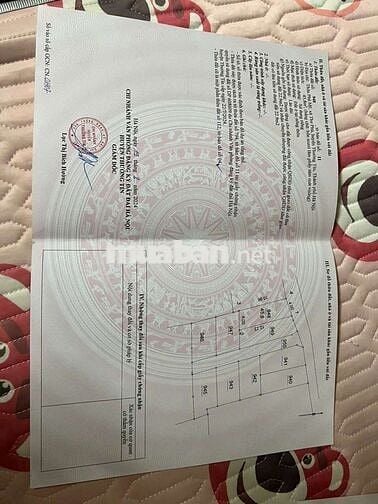 🔥🔥 LÔ ĐẤT SIÊU ĐẸP Ô TÔ ĐỖ CỬA Giá Đẹp 
🪴 Vị trí: Thư Phú - thường