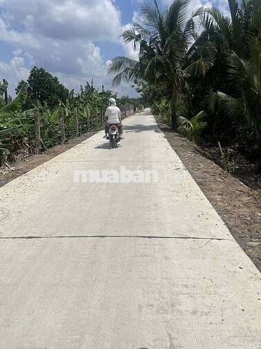 Chú cần bán gấp 7000m đất lúa Bến Lức