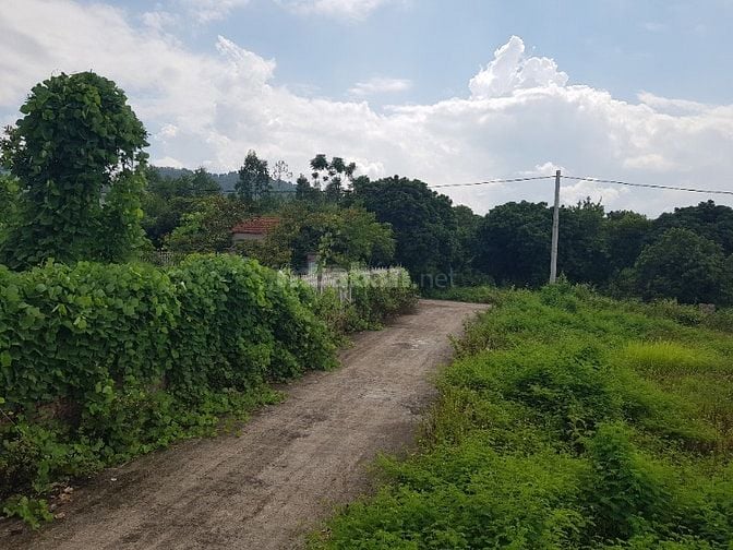 Chính chủ bán lô đất tại Phường Xuân Hòa, TP. Phúc Yên, tỉnh Vĩnh Phúc