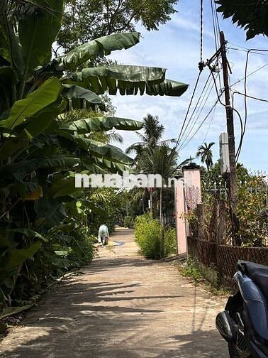 Điện Nam Bắc – Điện Bàn Đông – TP Đà Nẵng trục bê tông oto tới nơi.