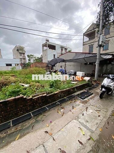 🏡 CHÍNH CHỦ BÁN GẤP LÔ ĐẤT 56,2m² – VÂN NỘI, ĐÔNG ANH, HÀ NỘI