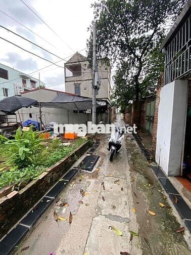 🏡 CHÍNH CHỦ BÁN GẤP LÔ ĐẤT 56,2m² – VÂN NỘI, ĐÔNG ANH, HÀ NỘI