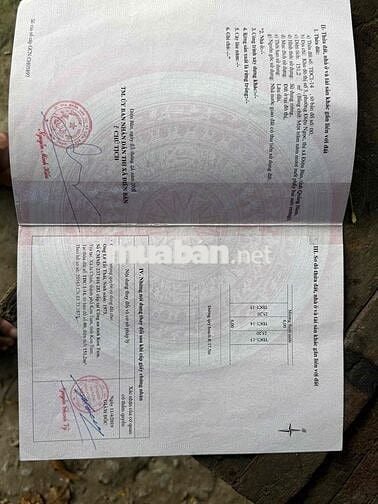 🌟 BÁN LÔ ĐẤT ĐẸP – KĐT SỐ 3, ĐIỆN BÀN ĐÔNG, ĐÀ NẴNG 🌟