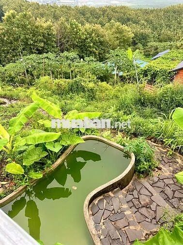 Đất Nghỉ Dưỡng – Đồi Giã Tỵ 98, Định Quán