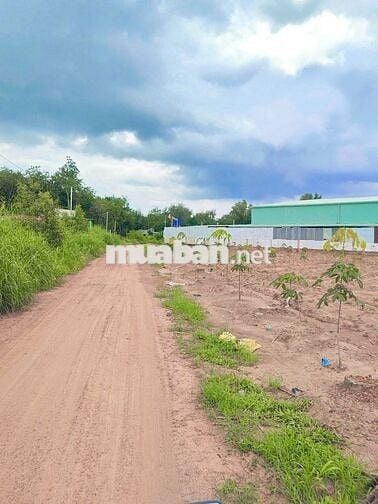 Đất thổ cư vị trí ngay cổng KCN An Linh, giá 390 triệu bao phí ra sổ.