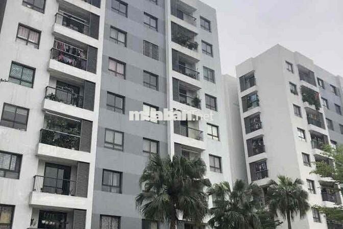 Chính chủ bán chung cư newtatco lai xá