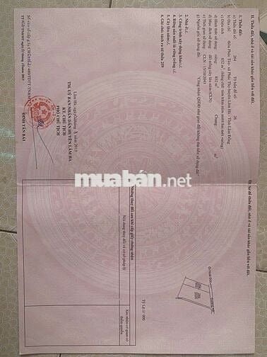 CHÍNH CHỦ BÁN HAI LÔ ĐẤT MẶT TIỀN ĐƯỜNG LỚN LÂM HÀ