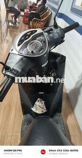Cặp xe Sh Ý 150 đời 208-209